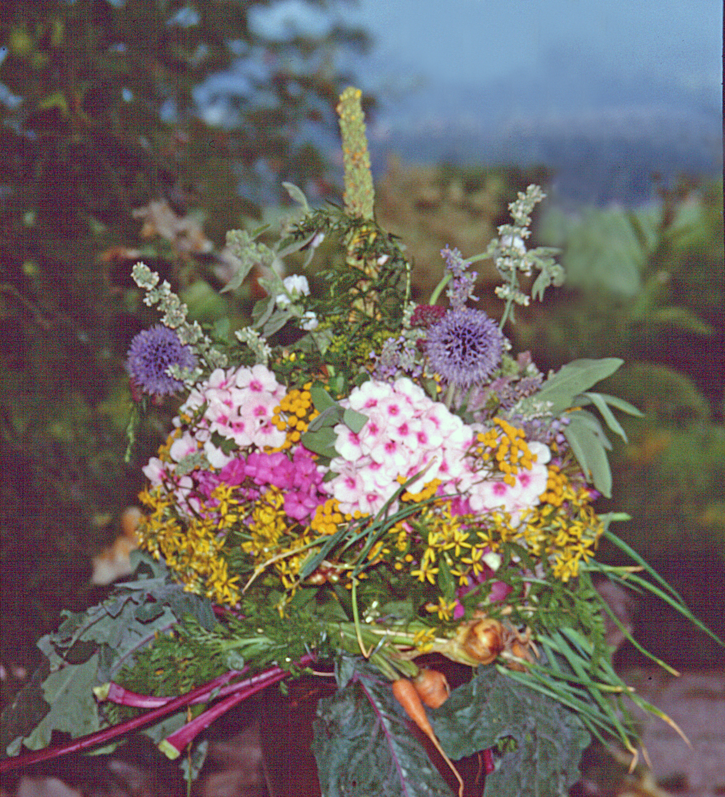 <p>Traditioneller Kräuterbuschen, d'Sange. Wängle, Tirol, Ö.</p>