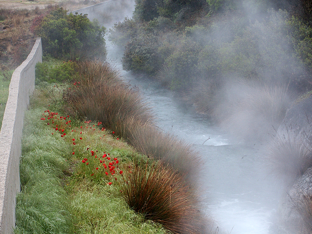 Erkältungsbad und Muskelbad 