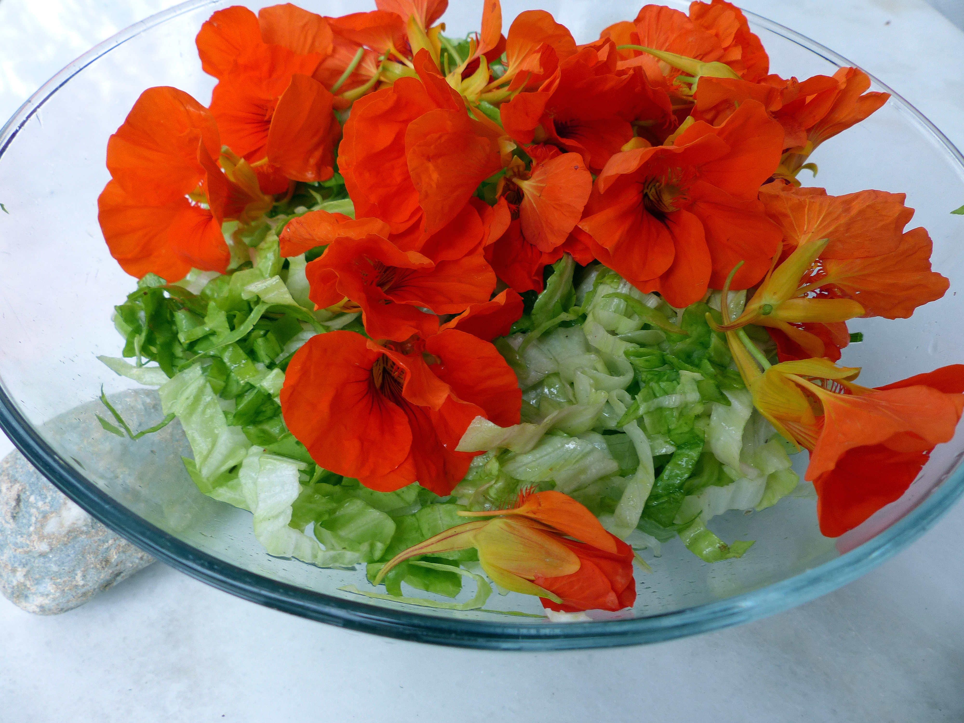 Salat mit Kapuzinerkresse