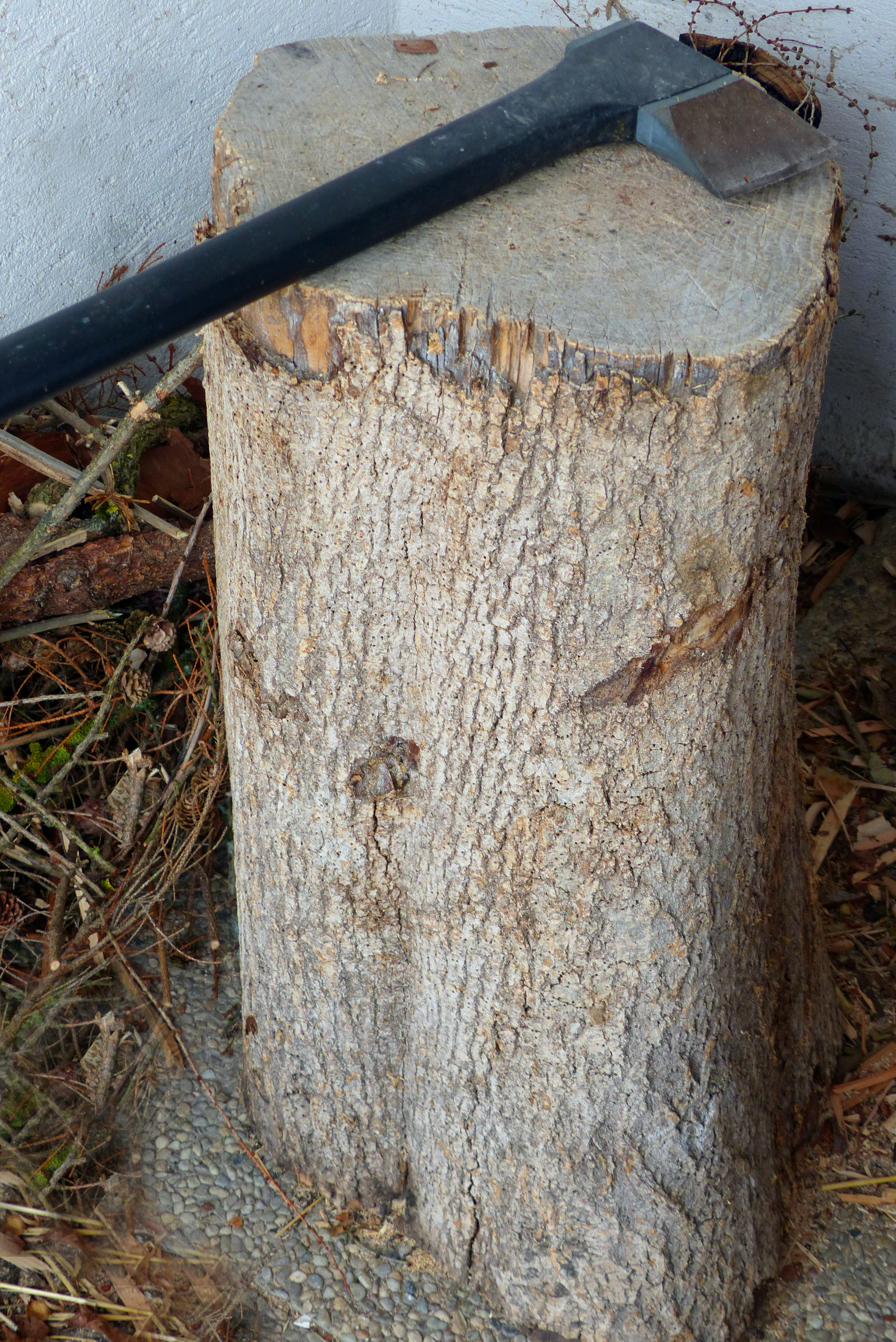 <p>Ein richtiger Hackstock besteht allerdings aus Ahorn- oder Eschenholz.</p>