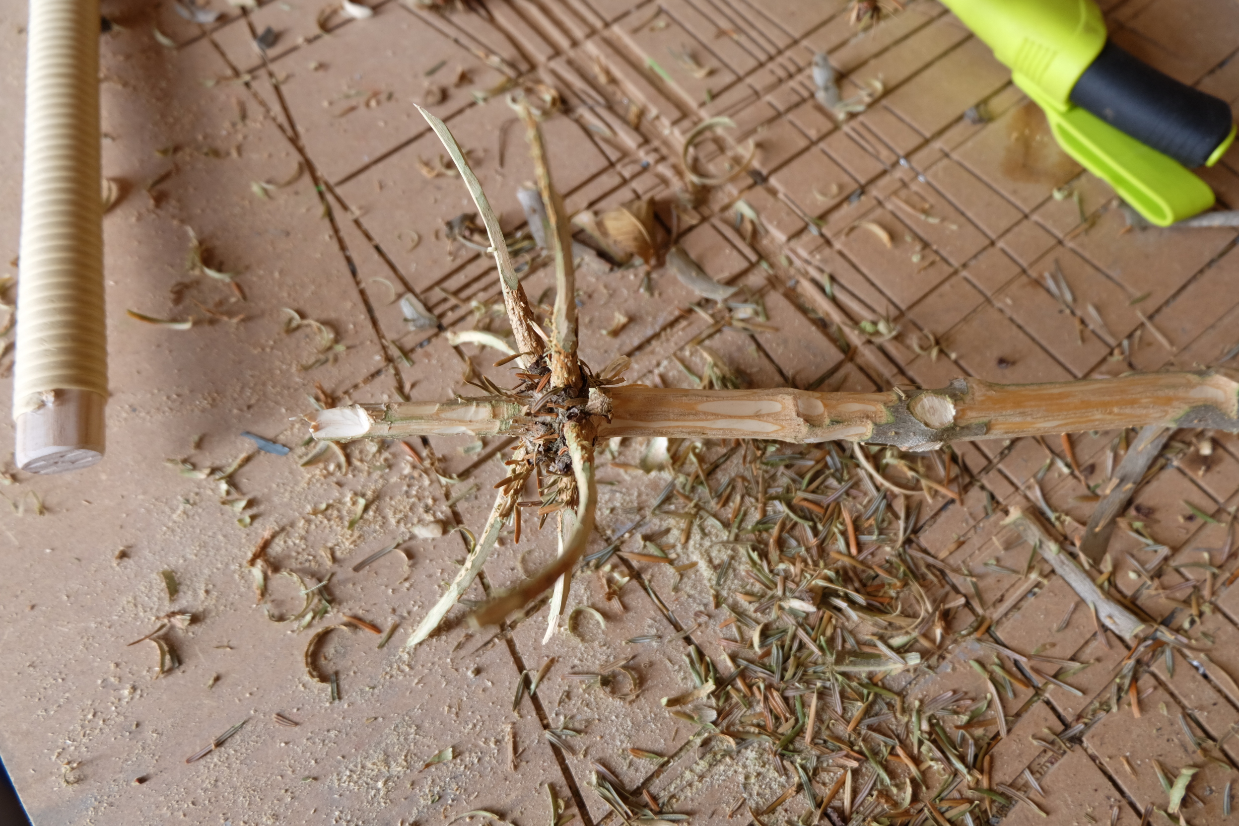 Quirl aus Christbaumspitze