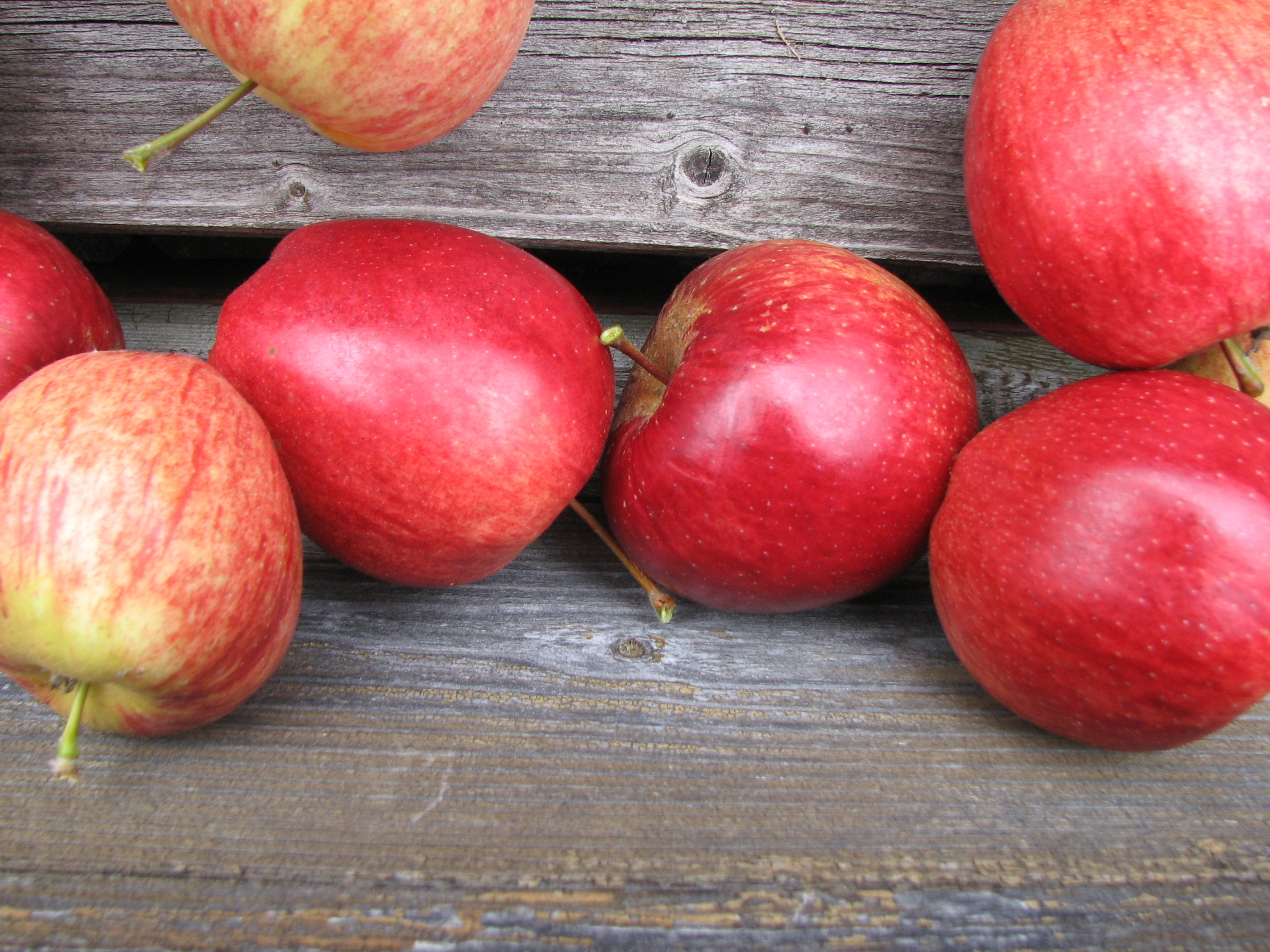 Apfel