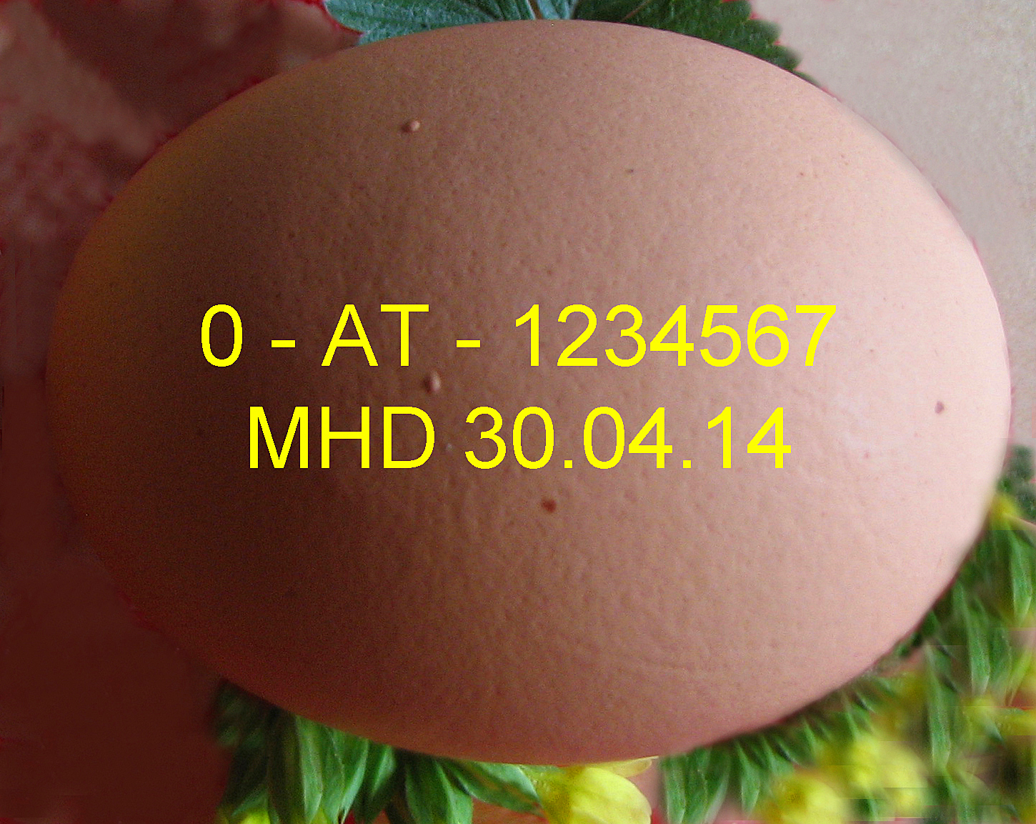 <p><strong>Eiercode: 0</strong> am Anfang des Codes bedeutet <strong>Ökologische Haltung,</strong> <strong>Bio</strong>!</p>