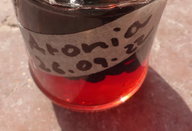 Aroniabeeren in Honig fermentiert