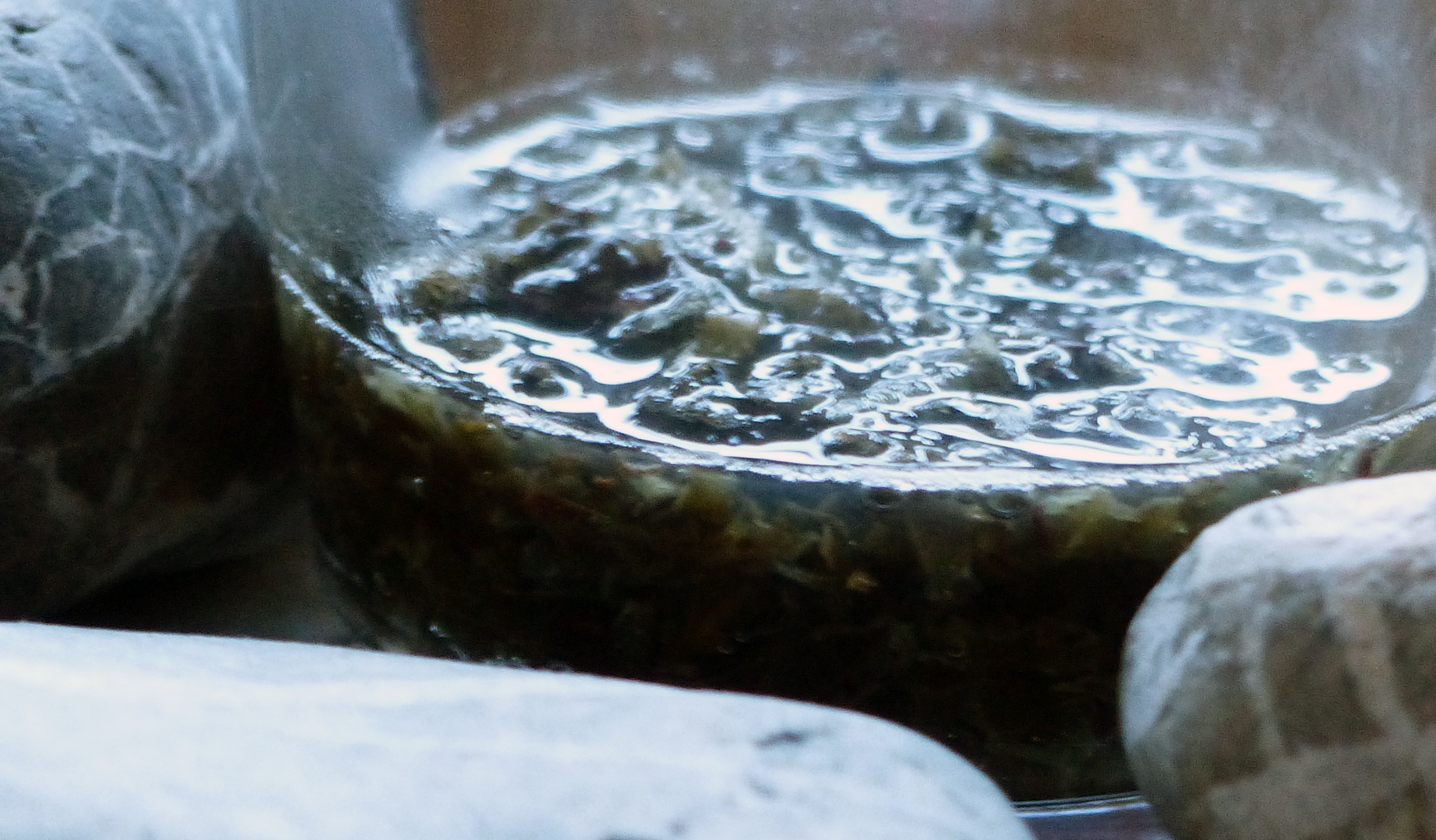 <p>Das Isländische Moos (= Islandflechte) kurz entbittern.</p>