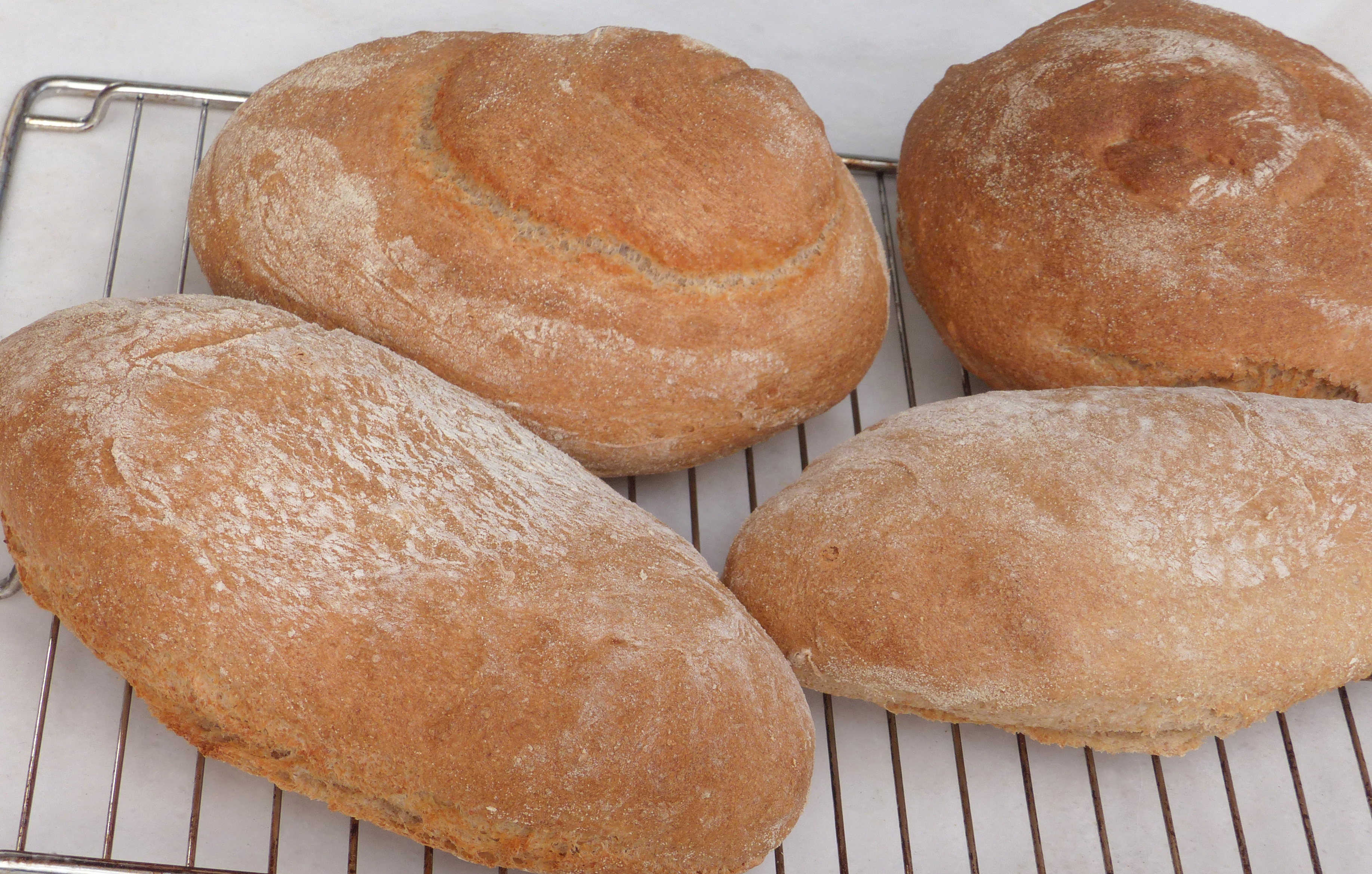 Mediterranes Weizenbrot, „Toskanabrot“