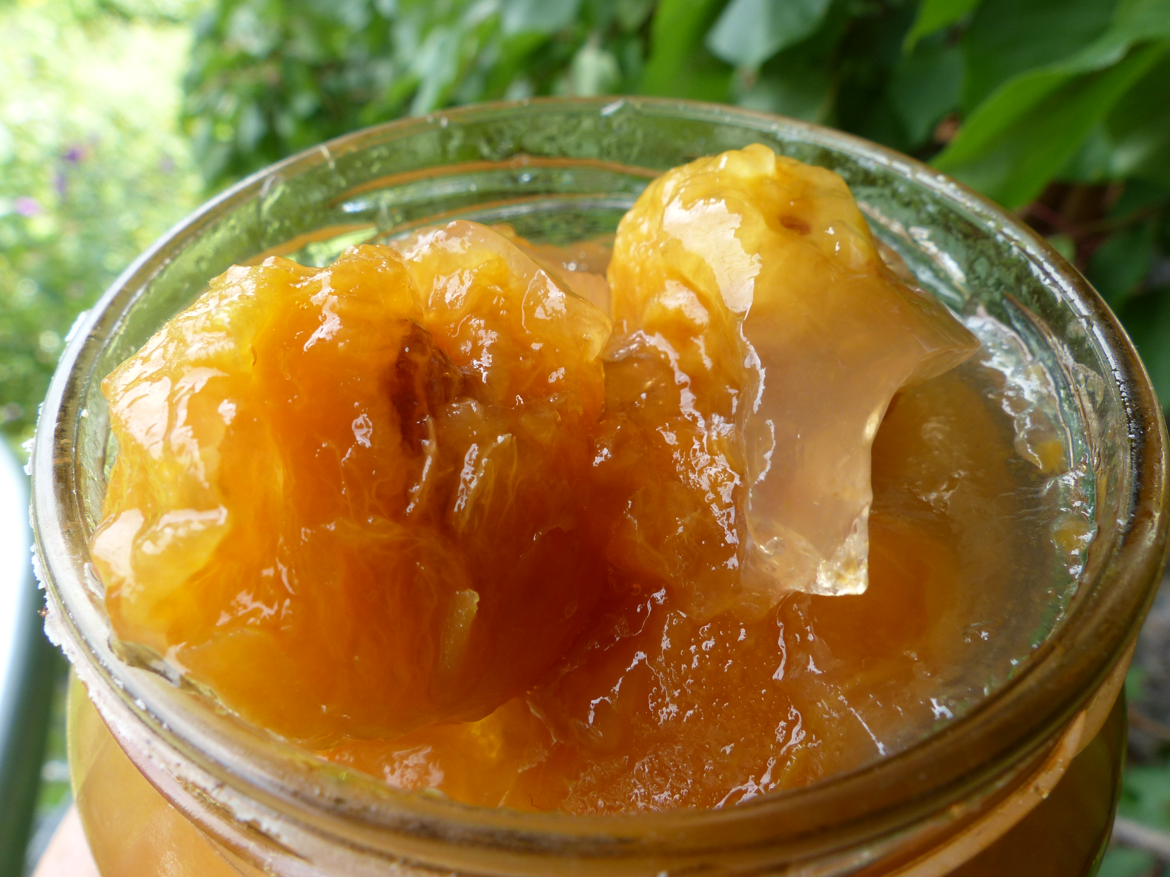 Marillen in Weingelee