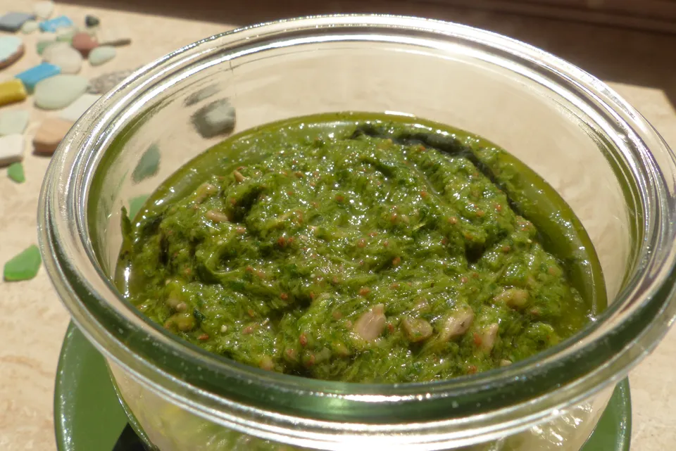 Pesto mit Vogelmiere oder Petersilie