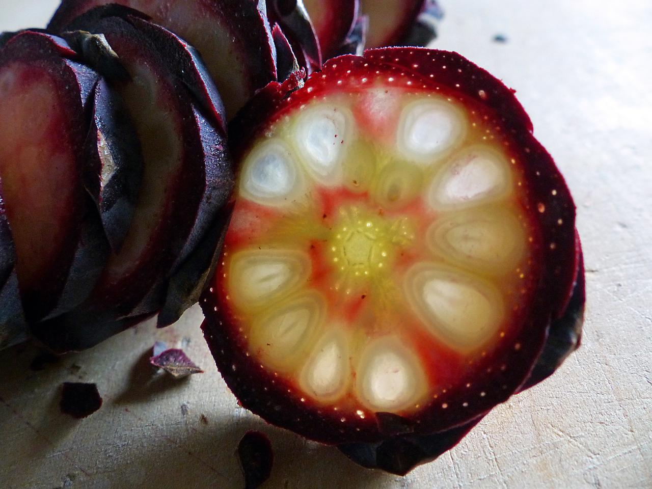 Zirbenschnaps, Zirbeler