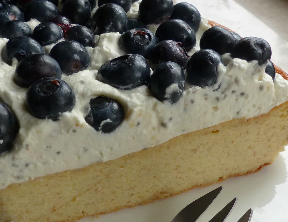 Topfenkuchen mit Heidelbeeren