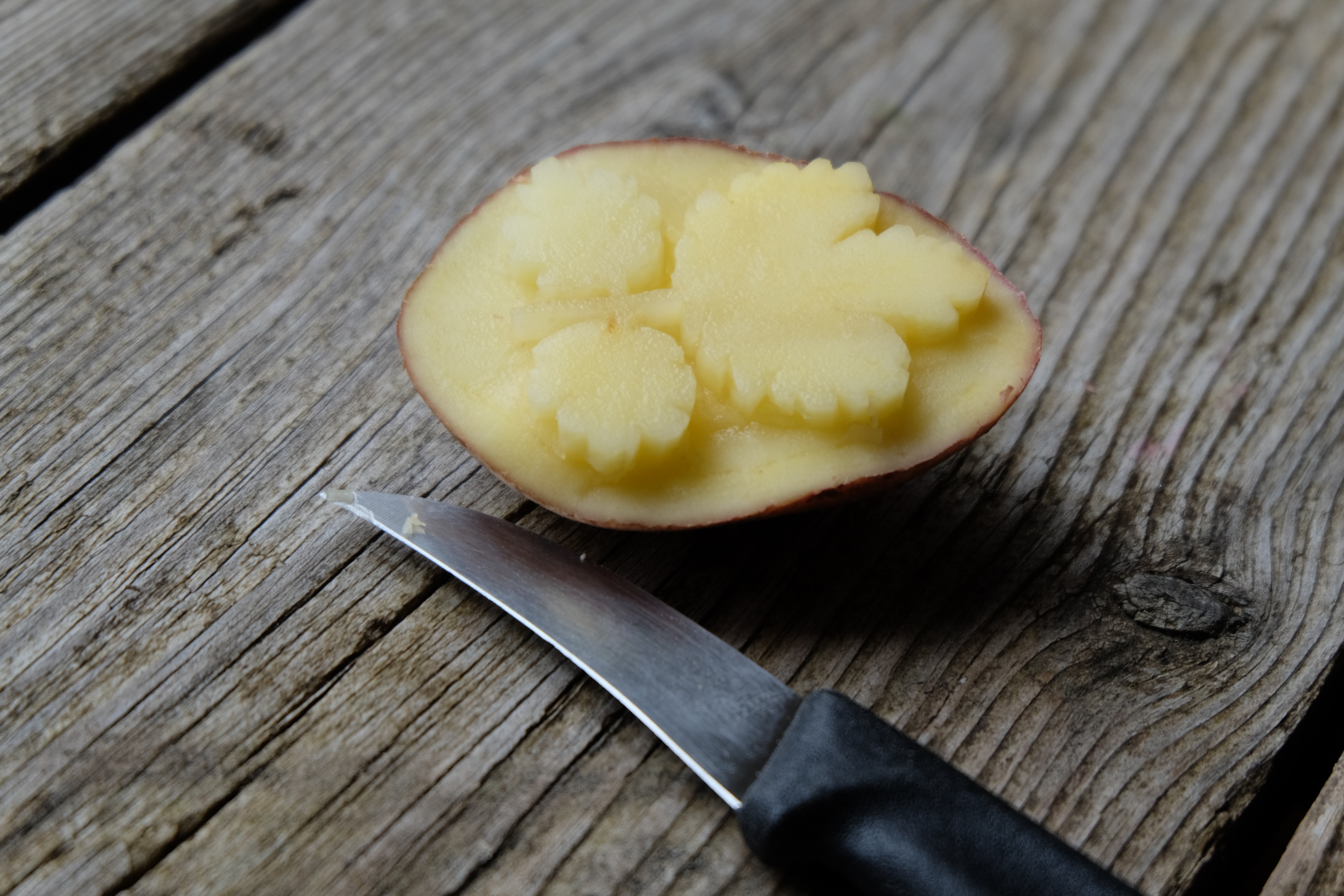 Kartoffeldruck