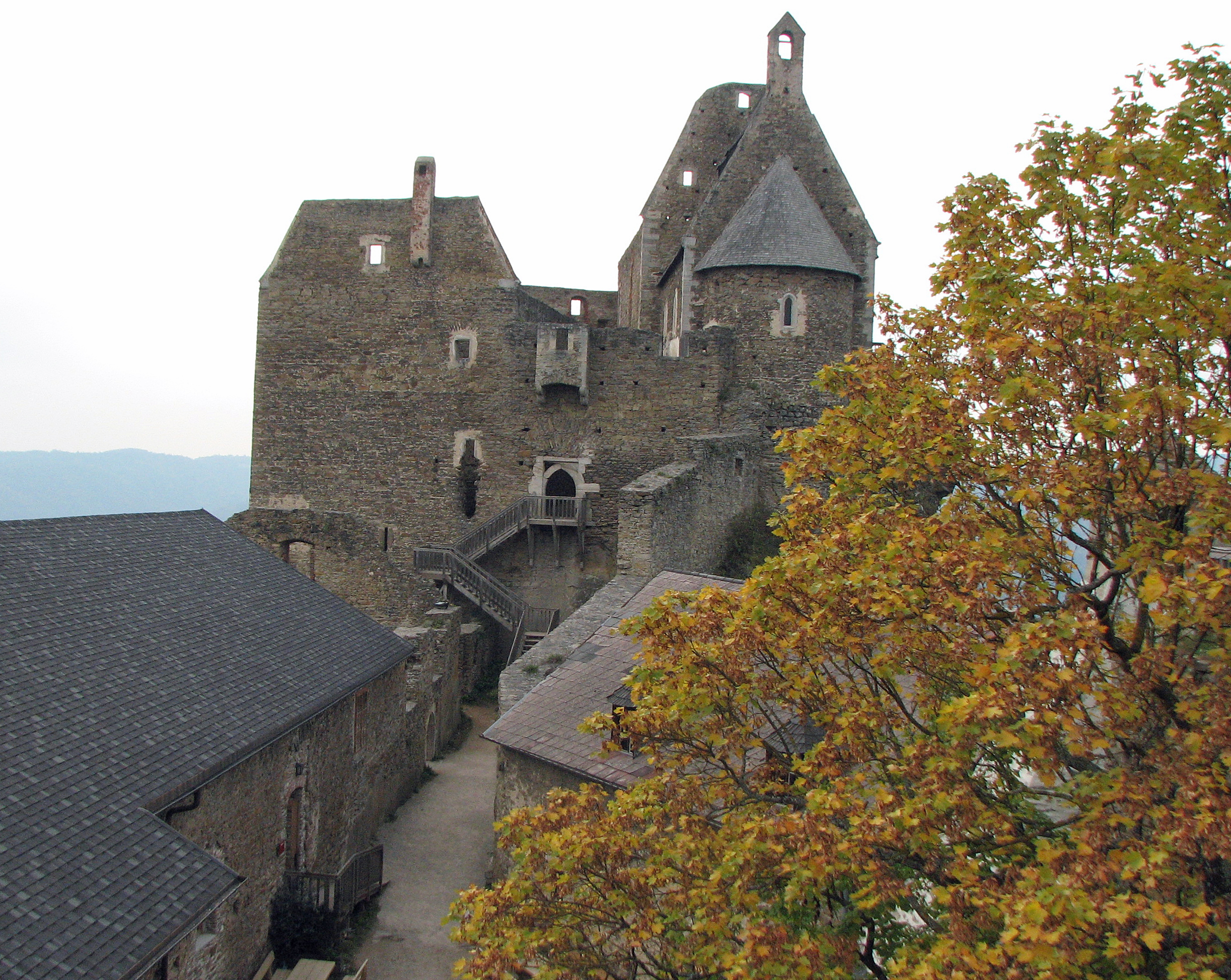 Spitzahorn
