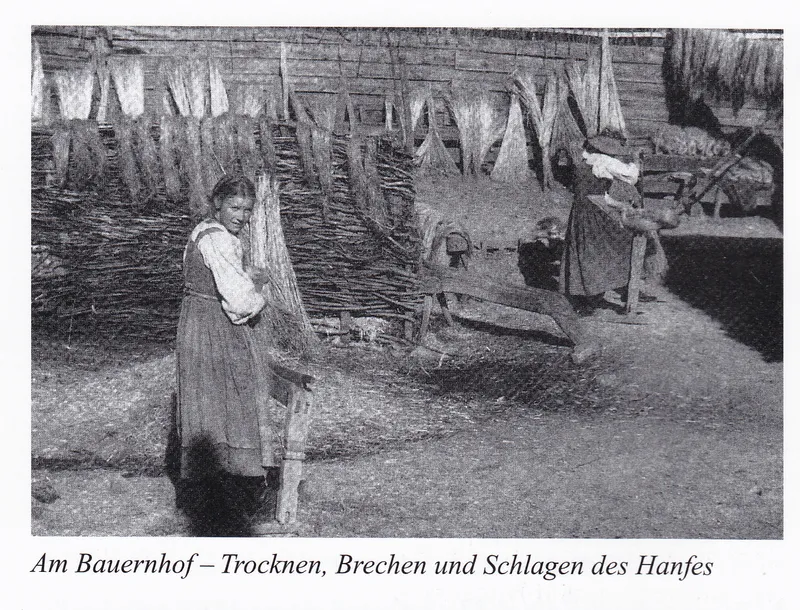Verwendung von Hanf