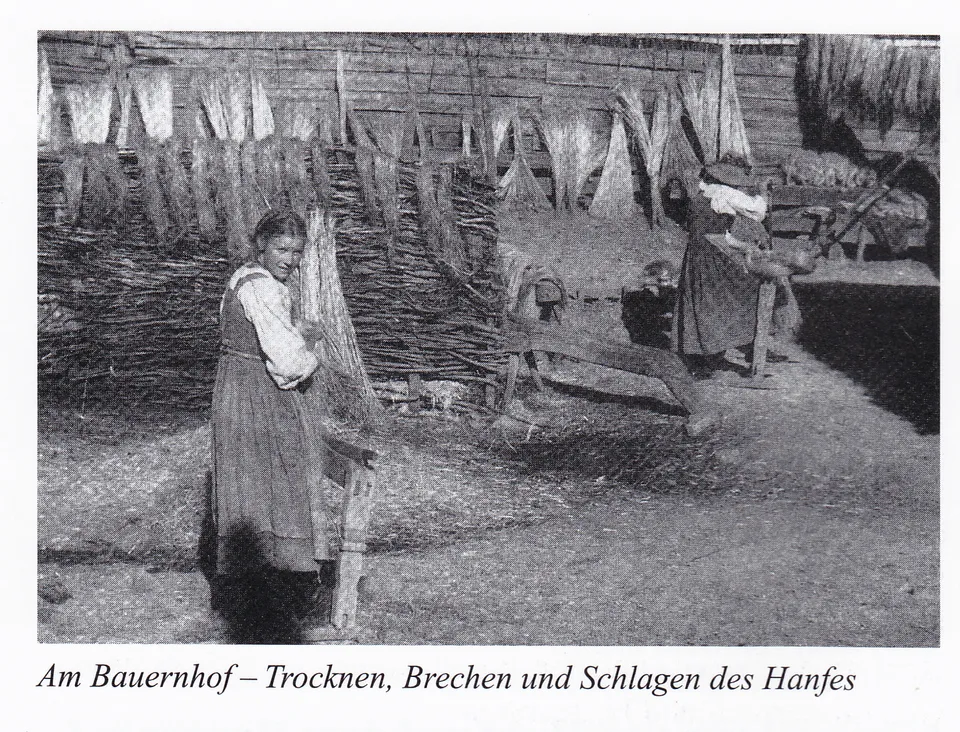 Verwendung von Hanf