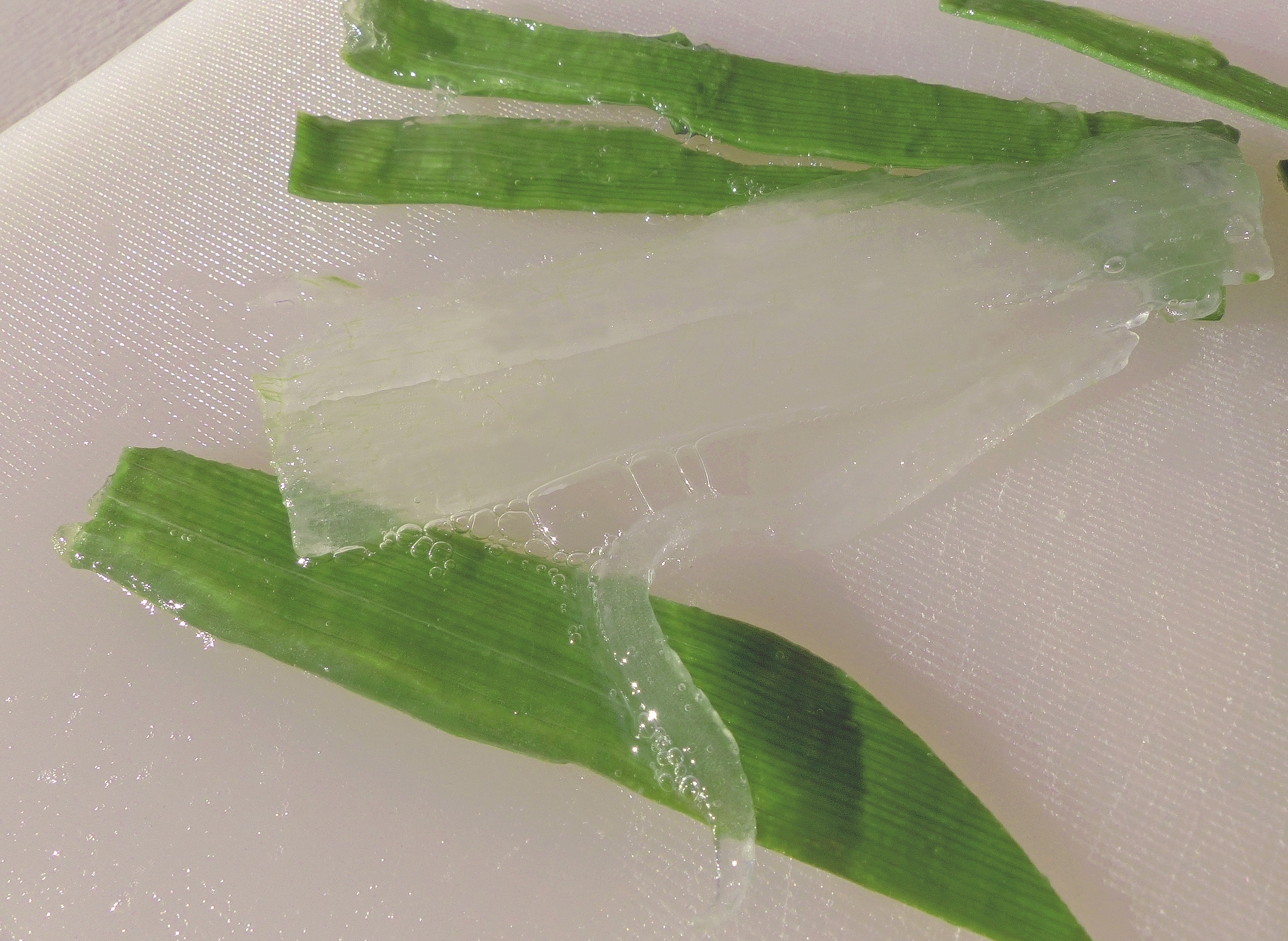 Aloe vera-Gel aus ganzem Blatt