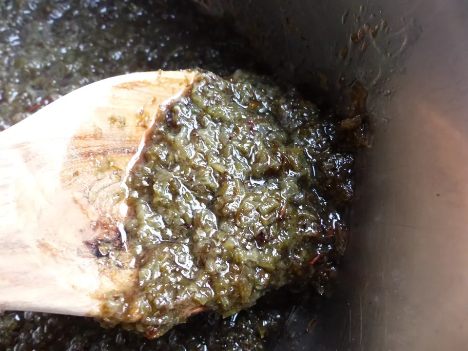 Flechten entbittern, Flechtenmehl, Flechtensalat