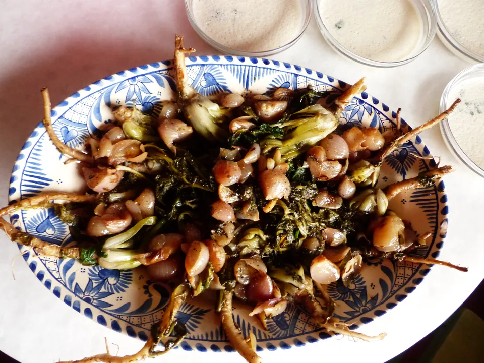 Löwenzahnwurzel-Salat