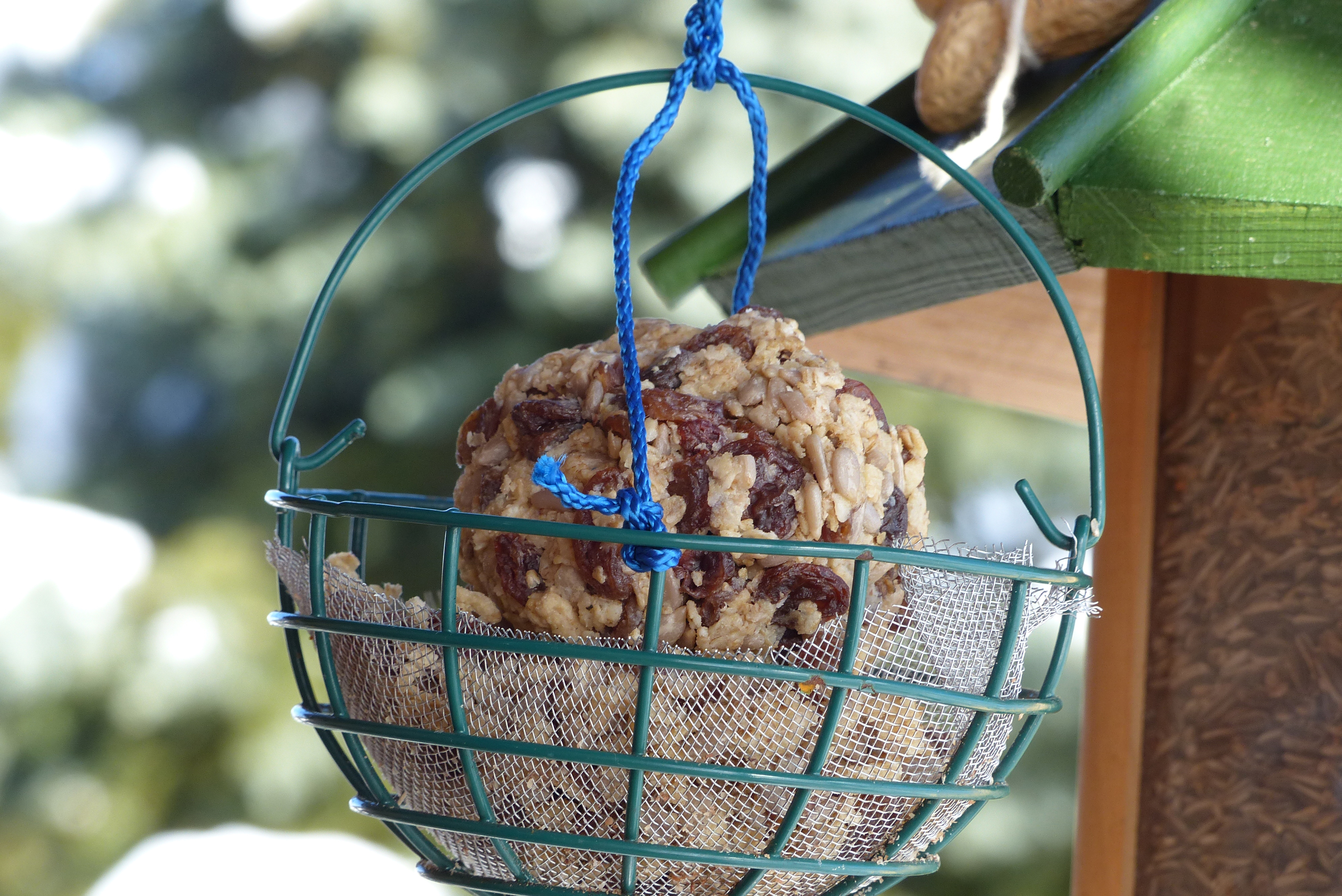 Vogelfutter selber machen