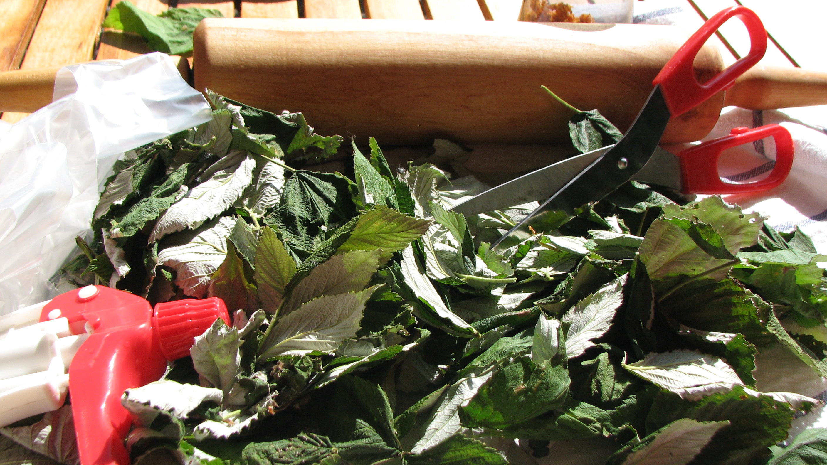 Fermentieren von Himbeerblättern und anderen