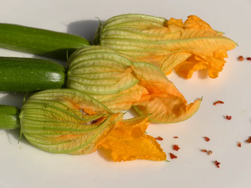 Zucchiniblüten, gefüllte