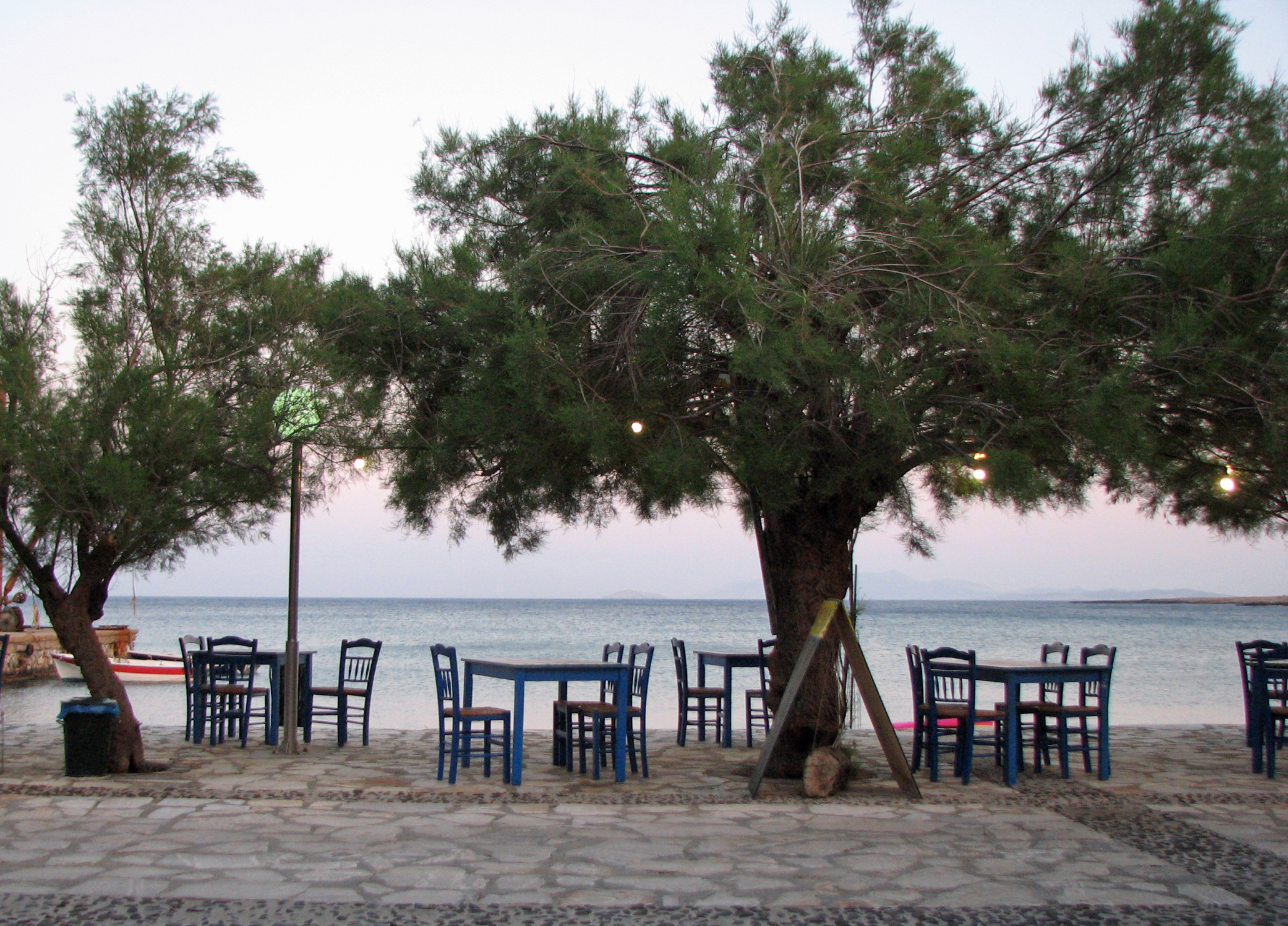 Kleinblütige Tamariske
