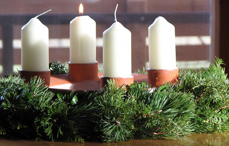 <p>Das Grün bringt Duft und Leben!</p>