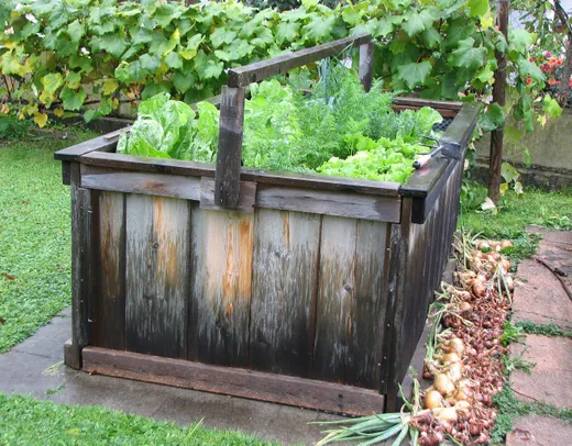 Hochbeet aus Holz bauen und bepflanzen