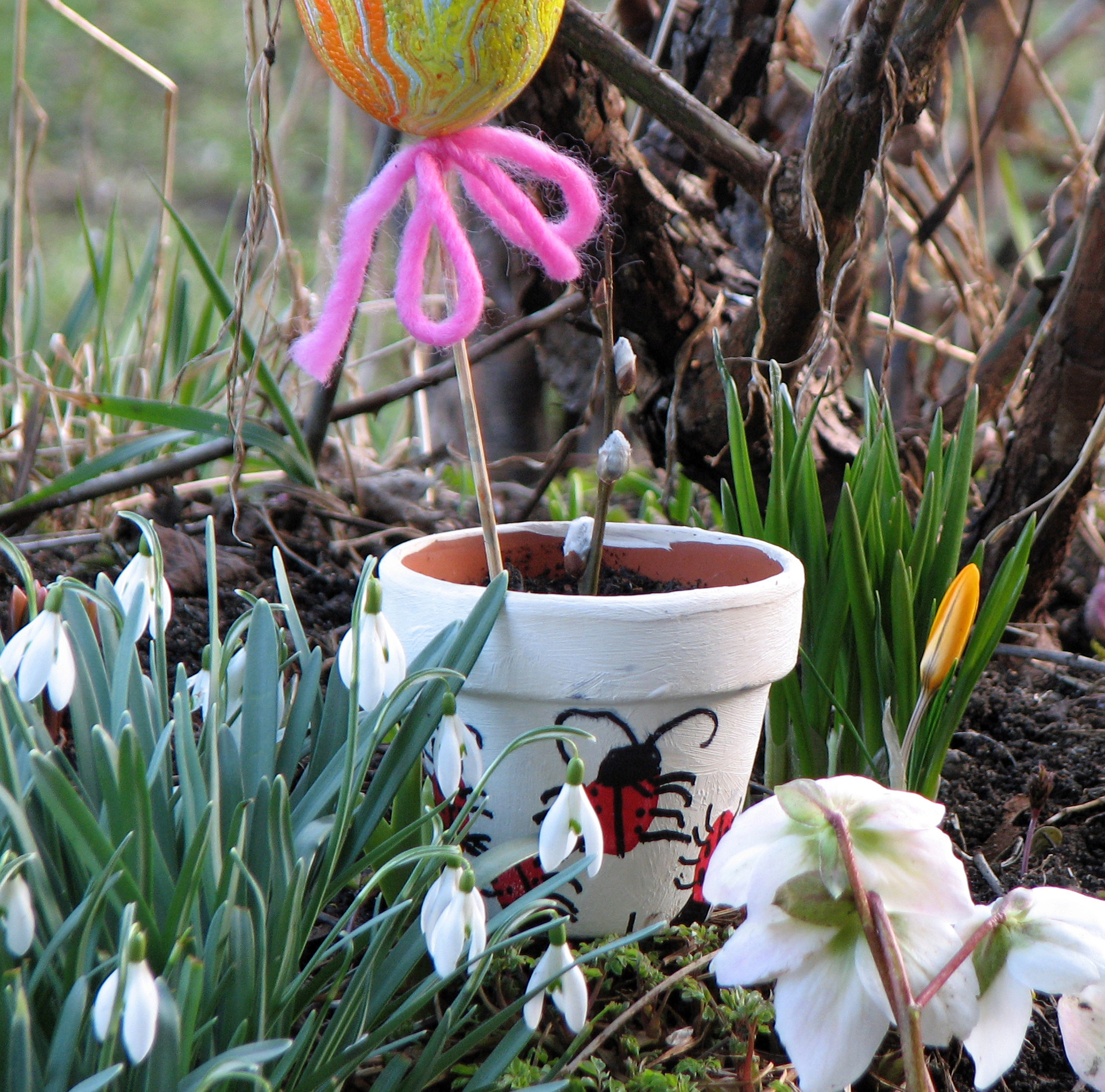Kleines Schneeglöckchen