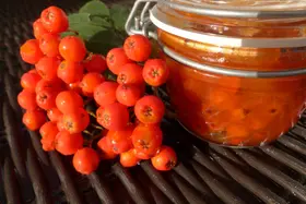Vogelbeermarmelade, pikant