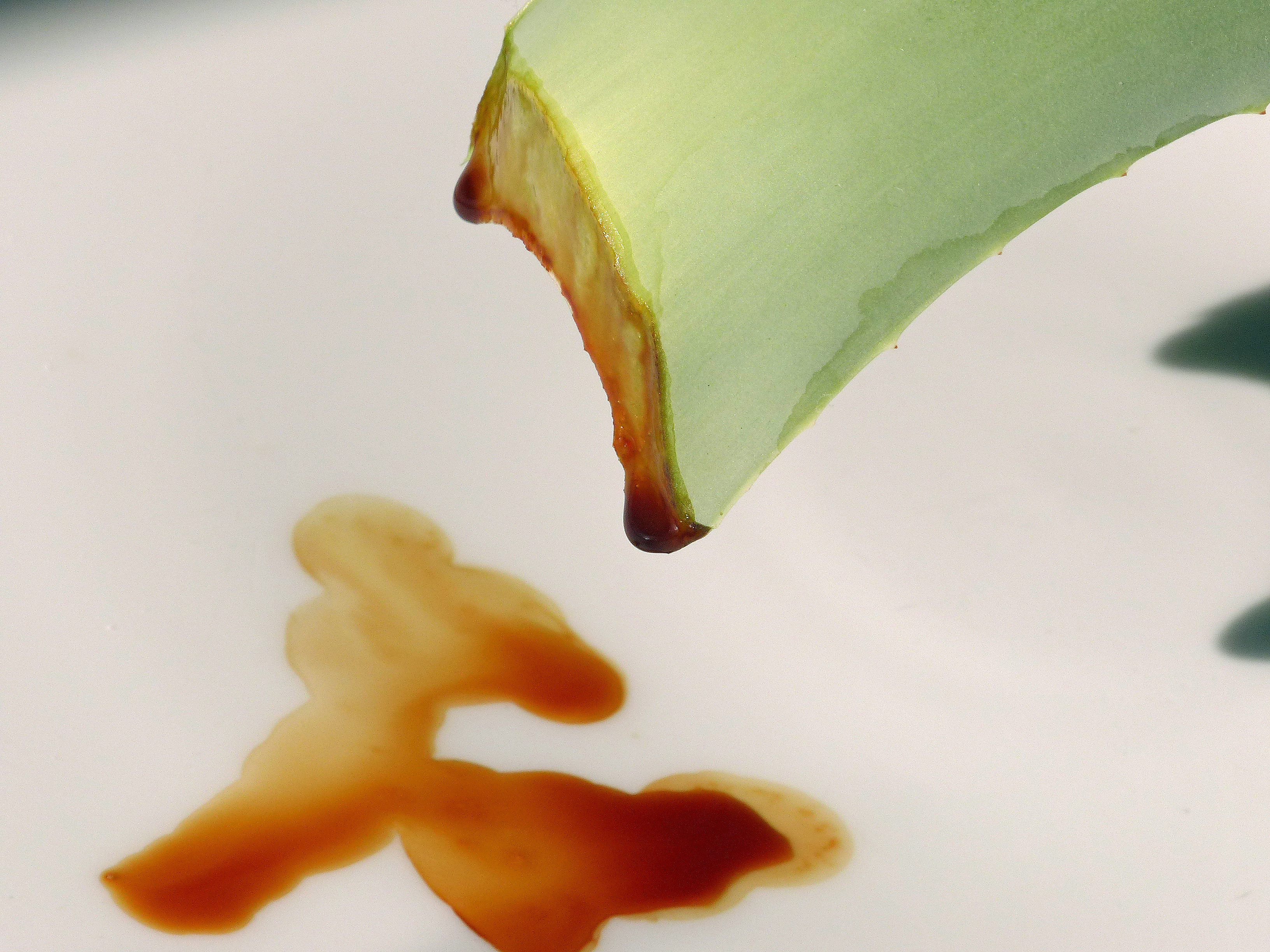 Aloe vera-Gel aus ganzem Blatt