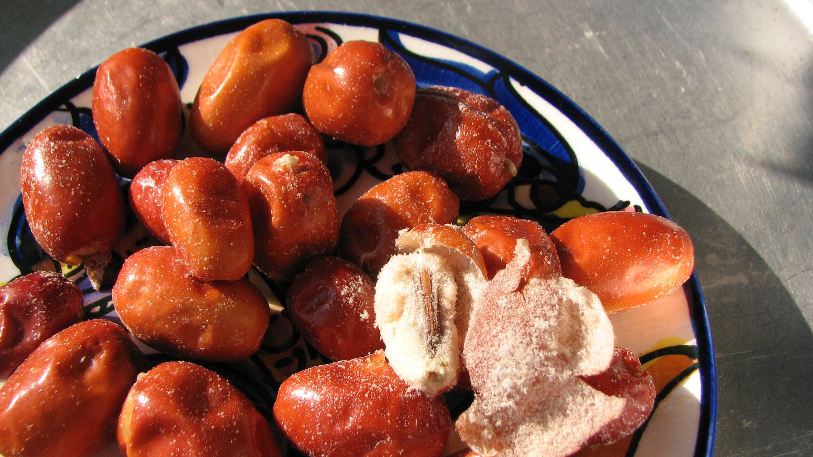 Schmalblättrige Ölweide