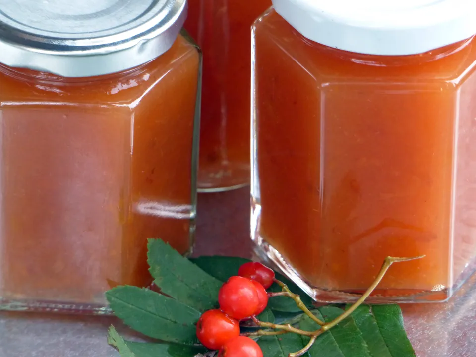 Vogelbeer-Pfirsich-Marmelade
