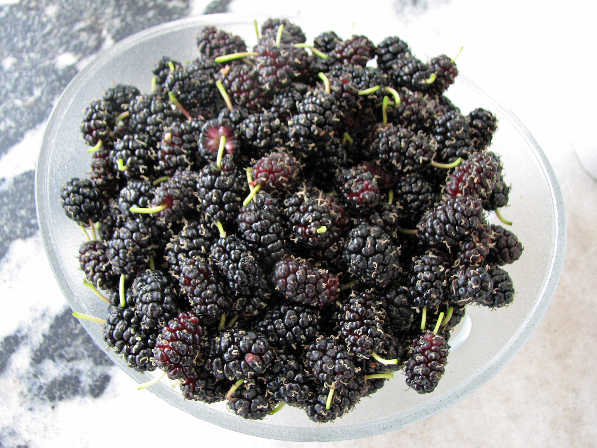 Schwarze Maulbeere