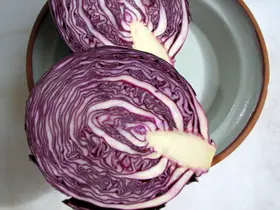 Rotkraut