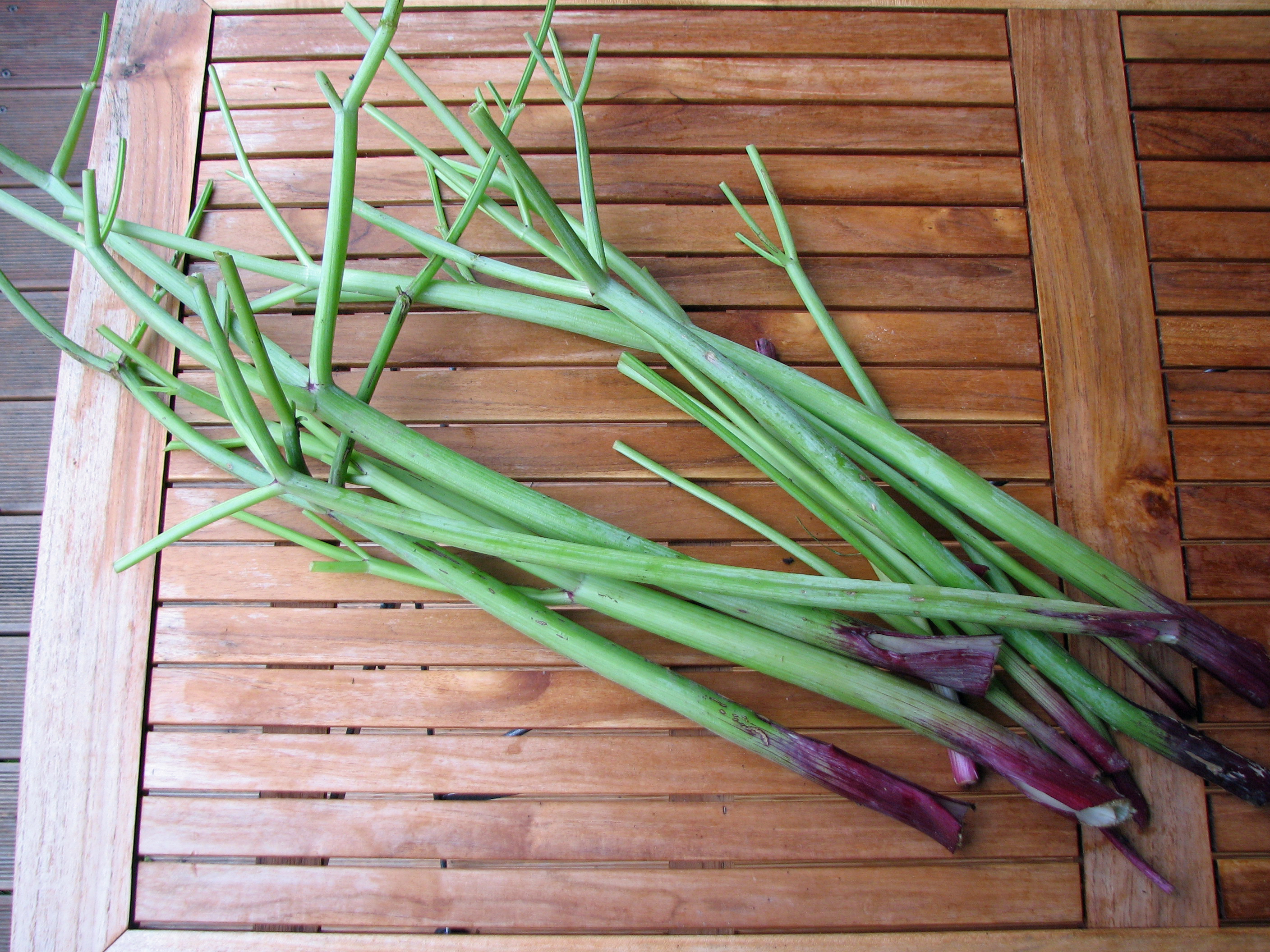 Kandierte Engelwurzstängel